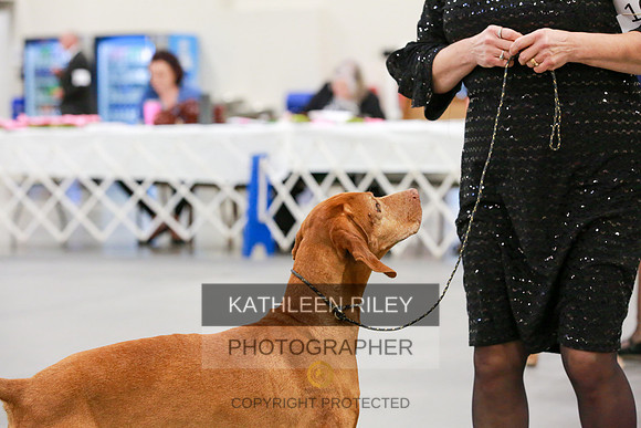 2022-KathleenRileyPhotography-8028