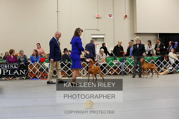 2022-KathleenRileyPhotography-3180