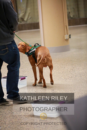 2022-KathleenRileyPhotography-7563