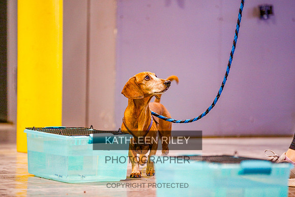 2022-KathleenRileyPhotography-6221