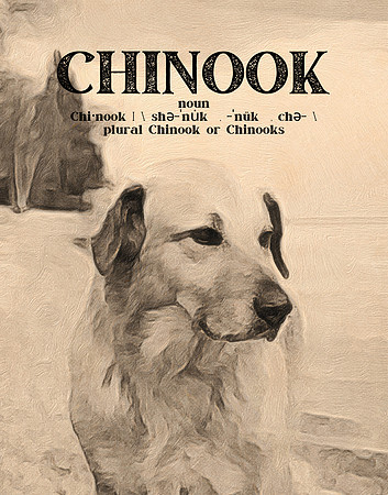 2021 Chinook Definition 11x14 Kathleen Riley