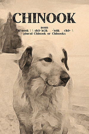2021 Chinook Poster 24x36 Definition Kathleen Riley