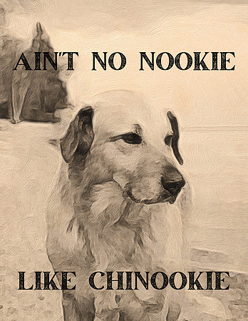2021 Chinook Ain't no nookie like Chinookie Kathleen Riley
