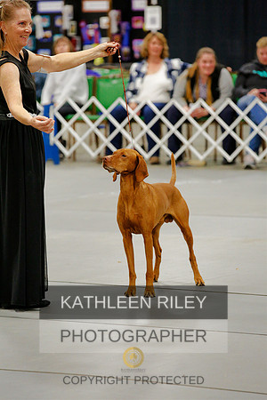 2022-KathleenRileyPhotography-0238 (1)