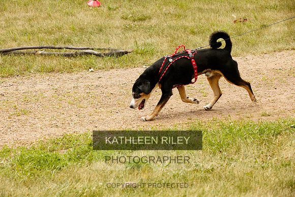 2022-KathleenRileyPhotography-0366