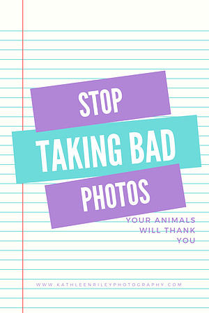 2021-Blog-Stop Taking Bad Photos