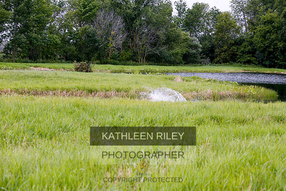 2022-KathleenRileyPhotography-3197