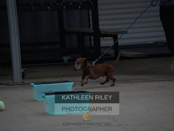 2022-KathleenRileyPhotography112