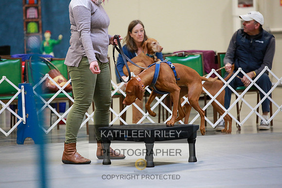 2022-KathleenRileyPhotography-7811