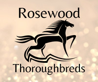 2021-07-18 Rosewood Thoroughbred