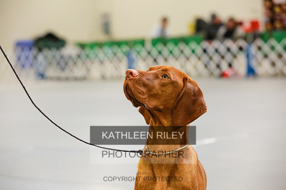 2022-KathleenRileyPhotography-8629
