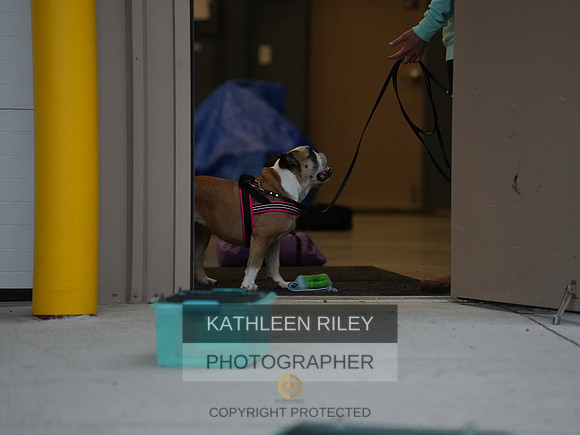2022-KathleenRileyPhotography008