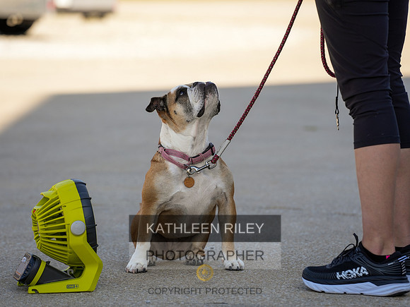 2022-KathleenRileyPhotography-03735
