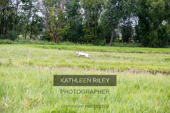 2022-KathleenRileyPhotography-3463