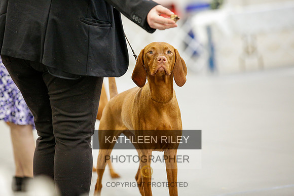 2022-KathleenRileyPhotography-9445