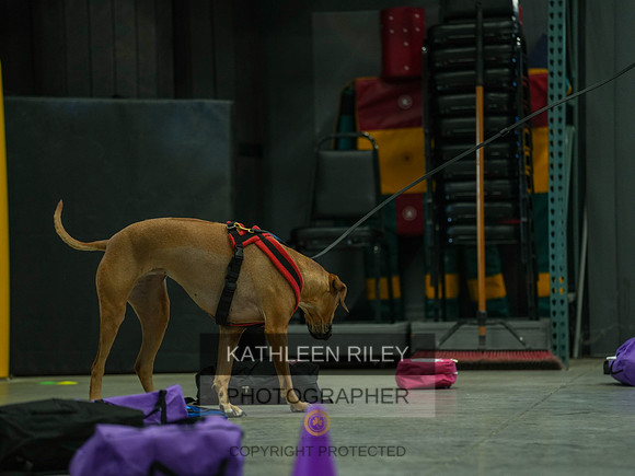 2022-KathleenRileyPhotography-03778