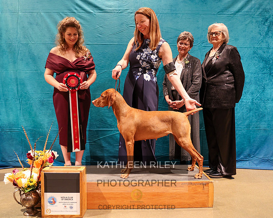 KARD6897