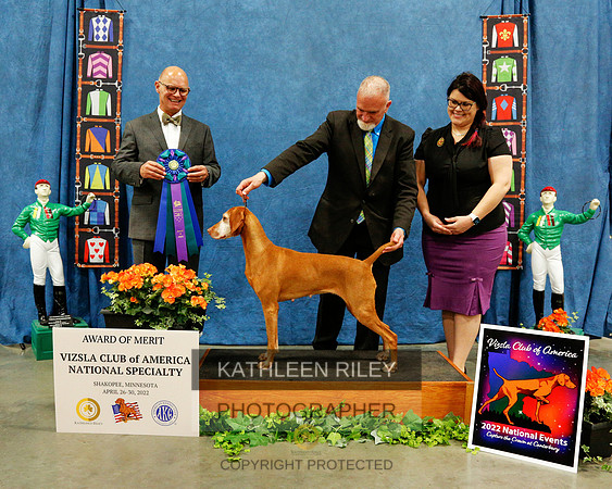 2022-KathleenRileyPhotography-6634 (1)
