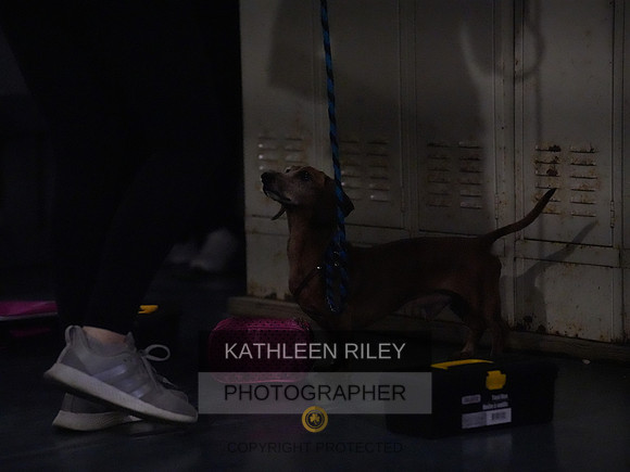 2022-KathleenRileyPhotography196