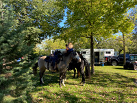 IMG_4298