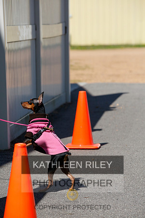 2022-KathleenRileyPhotography-4200