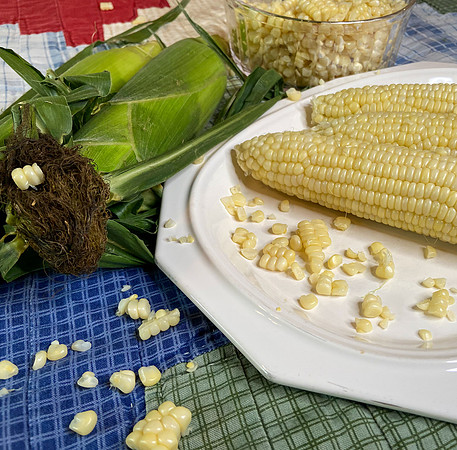 Corn on the Cob on a Plaid Background IMG_8793