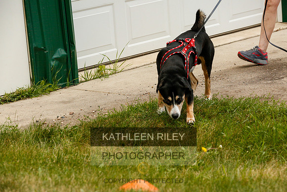 2022-KathleenRileyPhotography-0371