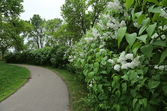 St Louis Park Minnesota