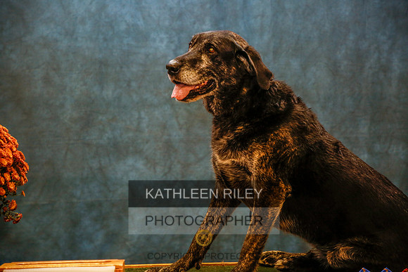 2022-KathleenRileyPhotography-9716