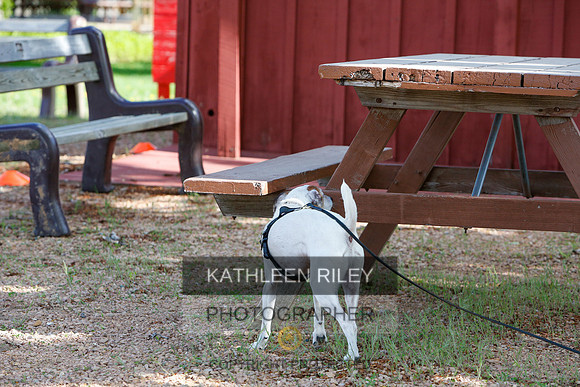 2022-KathleenRileyPhotography-0589