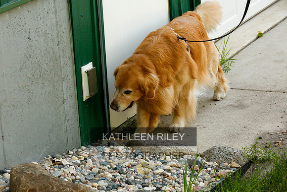 2022-KathleenRileyPhotography-0249