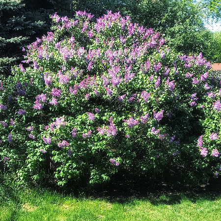 Saint Louis Park Minnesota