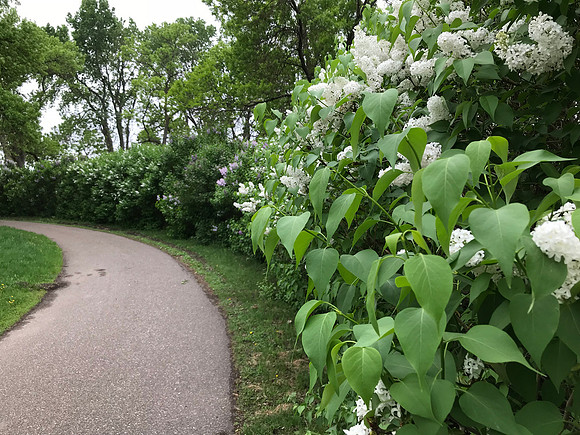 Saint Louis Park Minnesota