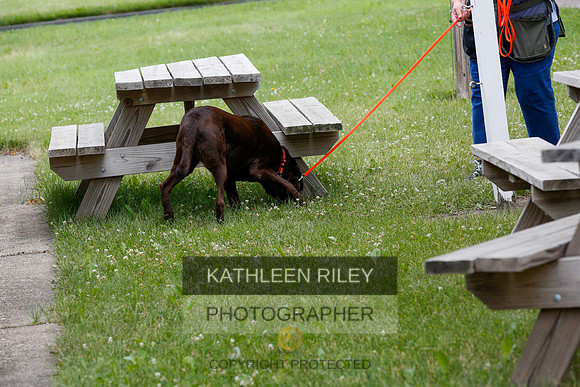 2022-KathleenRileyPhotography-9610