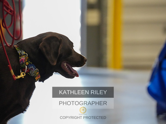 2022-KathleenRileyPhotography-03837