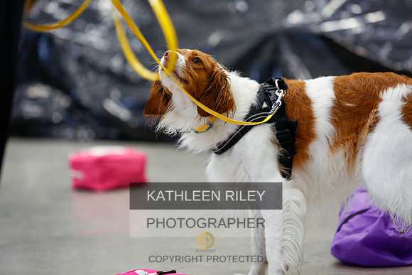 2022-KathleenRileyPhotography-7209
