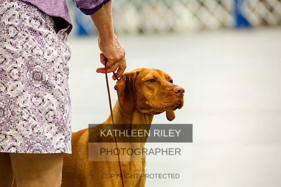 2022-KathleenRileyPhotography-9928
