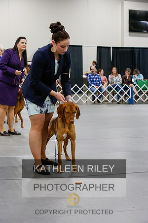 2022-KathleenRileyPhotography-6846