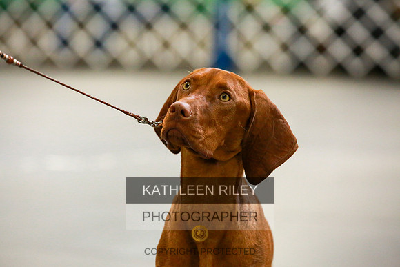 2022-KathleenRileyPhotography-8730