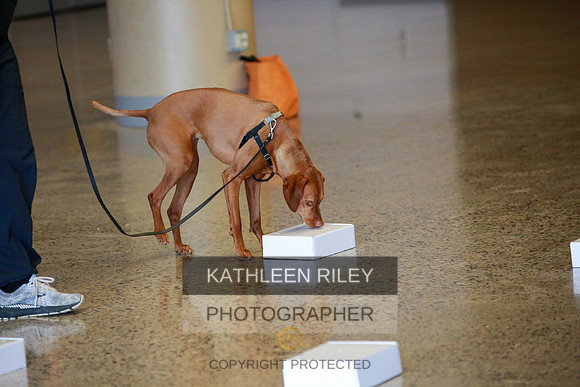 2022-KathleenRileyPhotography-7761