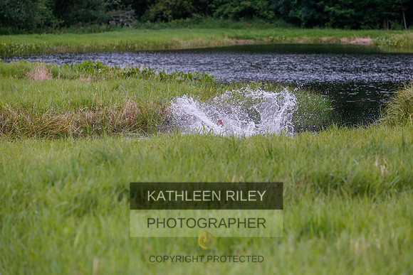 2022-KathleenRileyPhotography-3338
