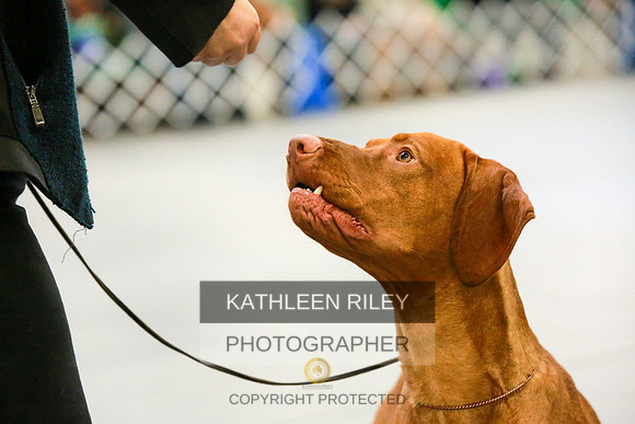 2022-KathleenRileyPhotography-8645