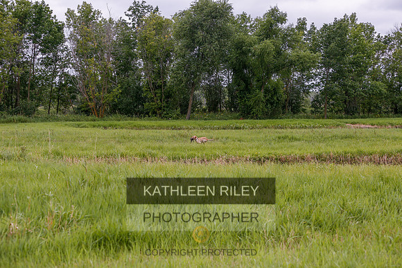 2022-KathleenRileyPhotography-3475