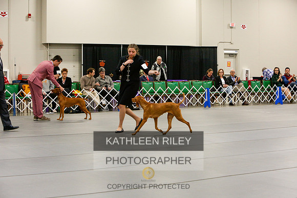 2022-KathleenRileyPhotography-5668