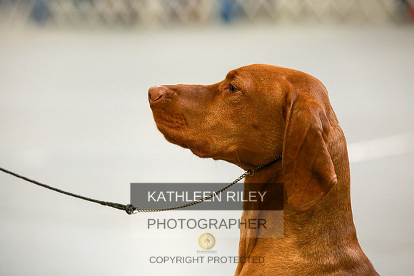 2022-KathleenRileyPhotography-8671