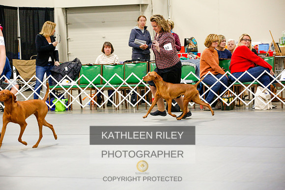 2022-KathleenRileyPhotography-9685