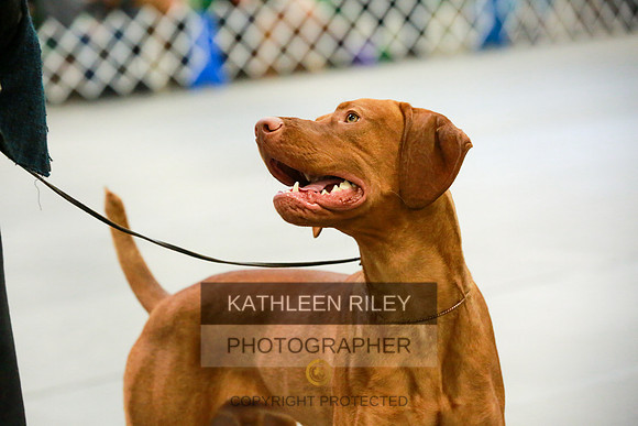 2022-KathleenRileyPhotography-8644