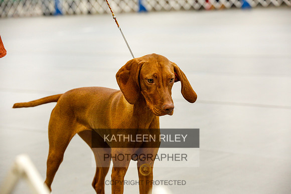 2022-KathleenRileyPhotography-9952