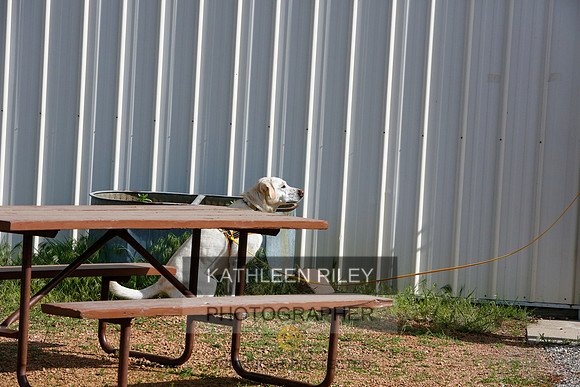 2022-KathleenRileyPhotography-9420