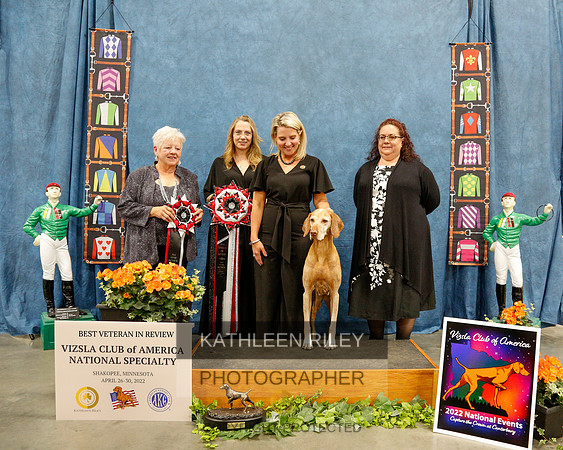 BEST-VET-REVIEW-2022-KathleenRileyPhotography-5264